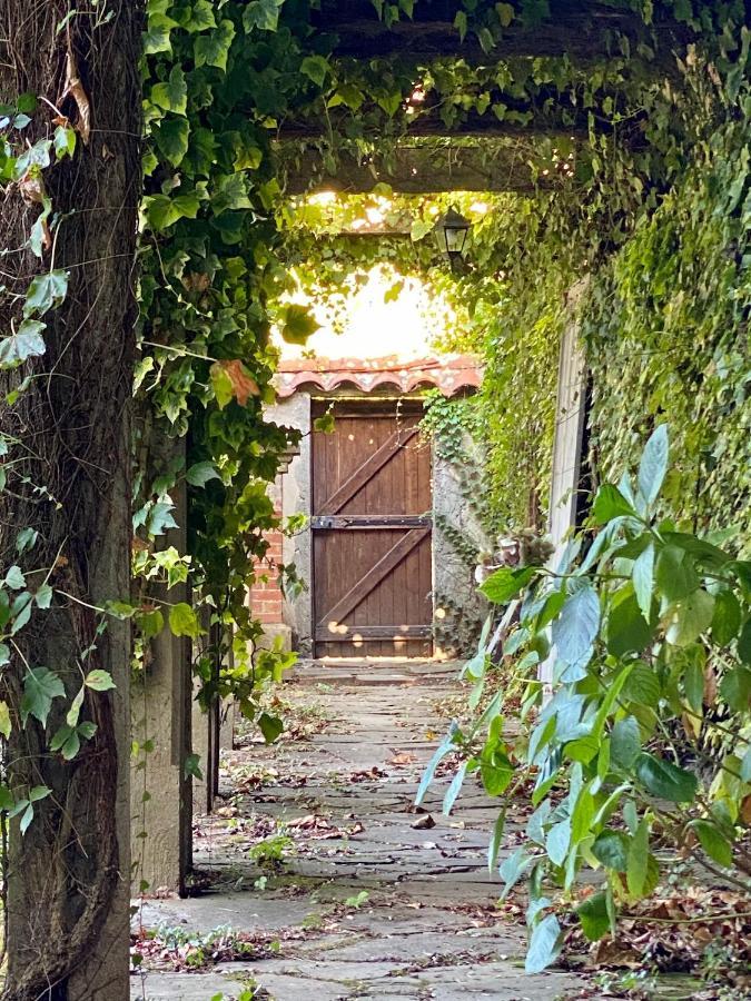 Le Rez De Jardin Albi Hotell Eksteriør bilde